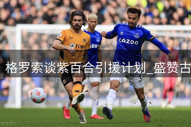 格罗索谈紫百合引援计划 盛赞古德蒙德松训练表现